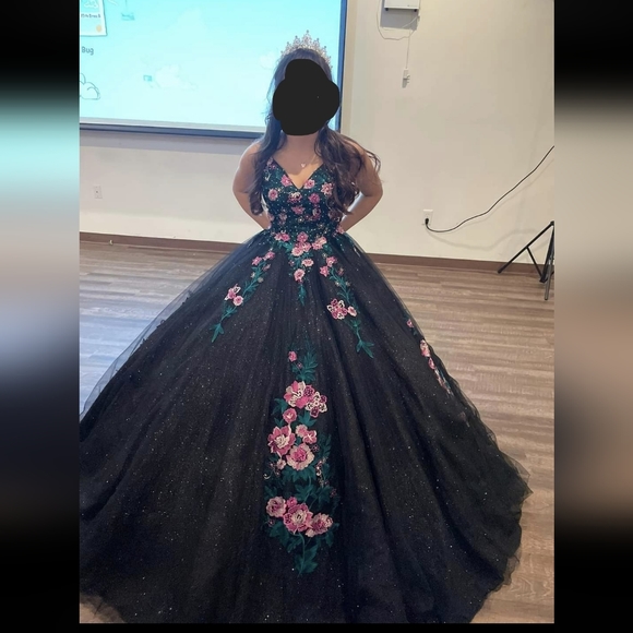 EUC 💗 15 Roses 💗Quincenera dress 🖤 Beautiful Princess Ball Gown, size 2 - Picture 5 of 14